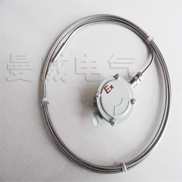 16651970039840.jpg 825合金護套MI加熱電纜.jpg