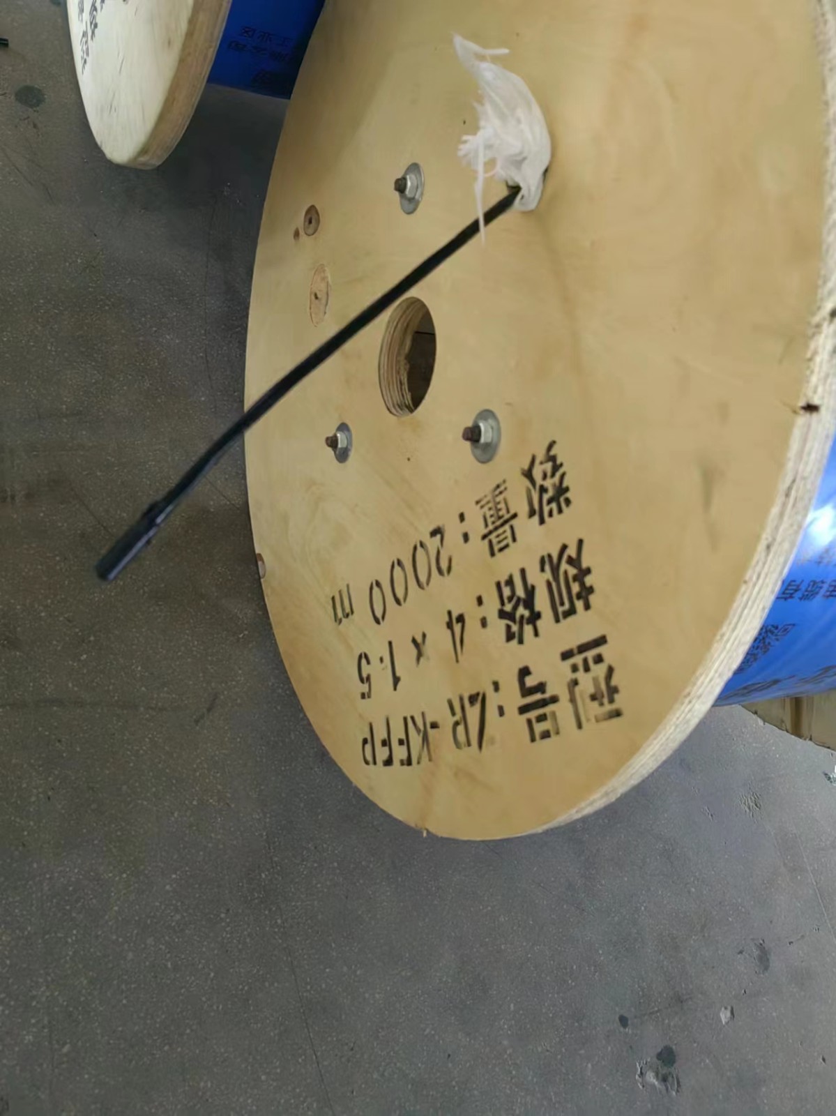 17390669984831.jpg